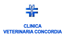 Clinica Veterinaria Concordia