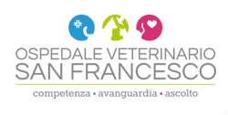 san-francesco-250x126